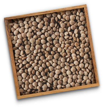 box-extra-small-red-lentils