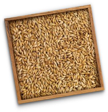 box-feed-barley