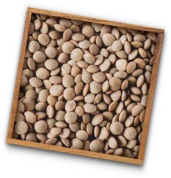 box-smal-red-lentils